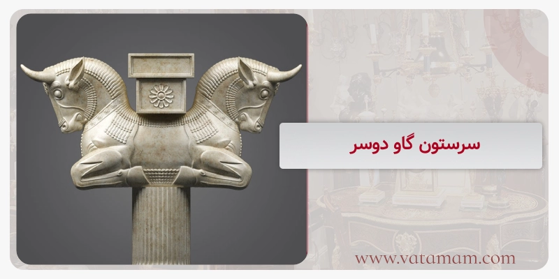 سرستون گاو دوسر