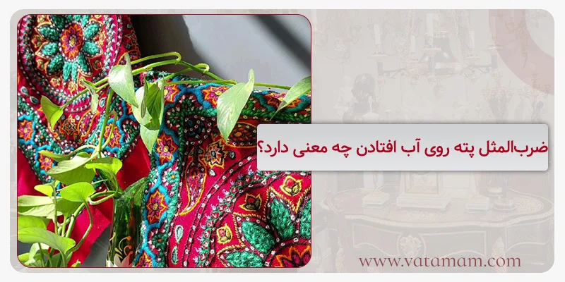 ضرب‌المثل پته روی آب افتادن چه معنی دارد؟