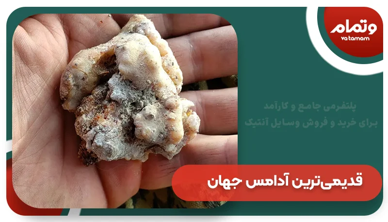 قدیمی‌ترین آدامس جهان (۵۰۰۰ سال پیش)