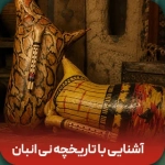 آشنایی با تاریخچه نی انبان در شهرهای جنوبی ایران